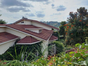 Two Sunbirds Rental